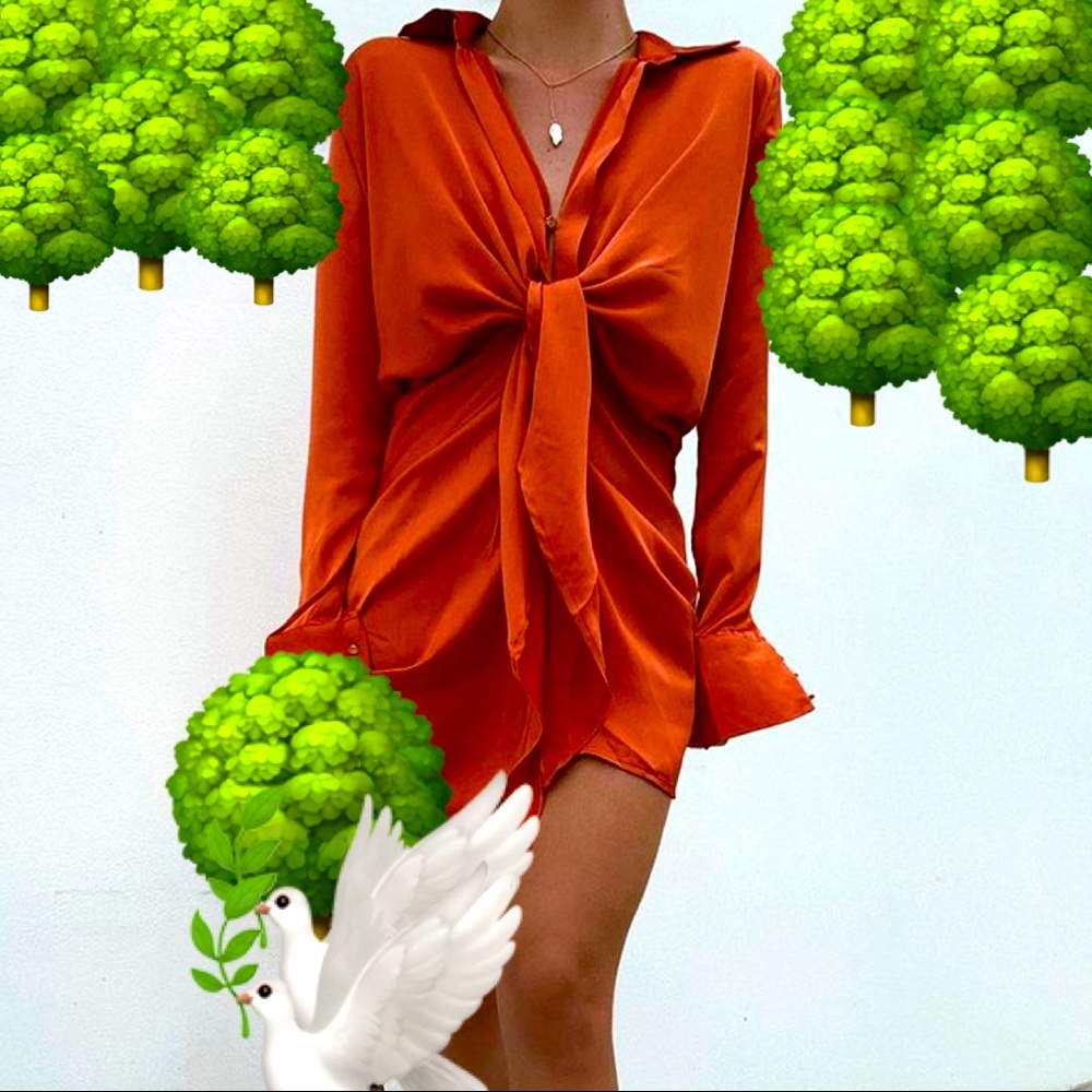 🌳🕊CORAL satin shirt dress